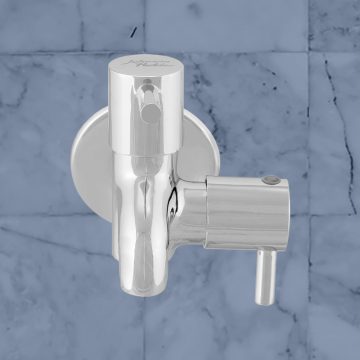 Twin Bib Tap